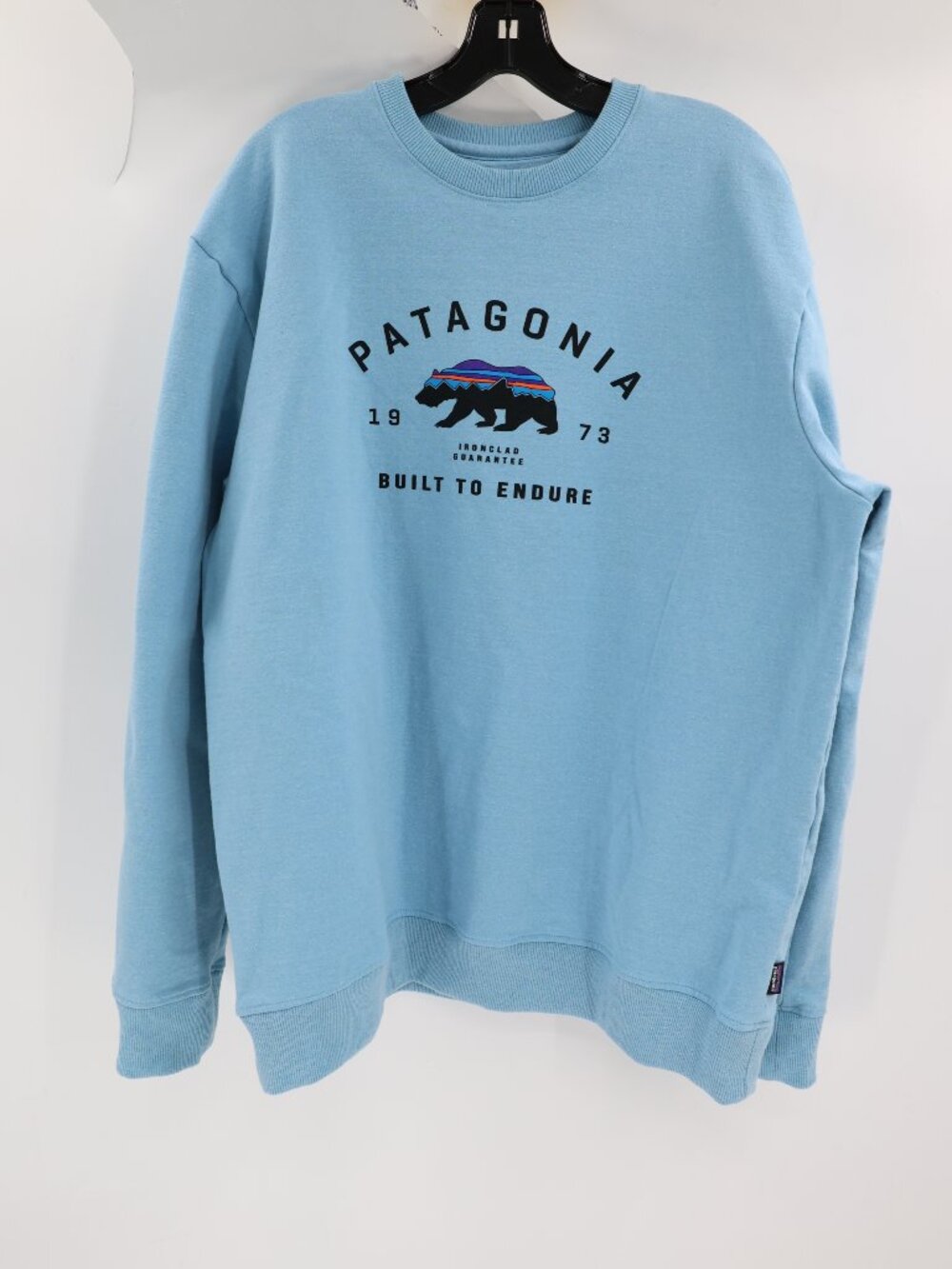 Patagonia Sky Blue Crewneck Sweatshirt with Mountain Bear Logo